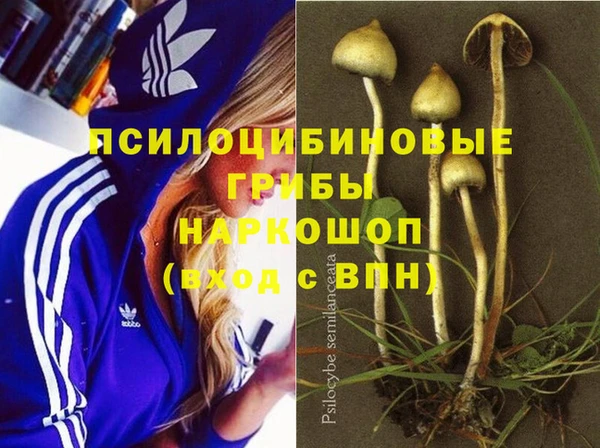 СК Киреевск
