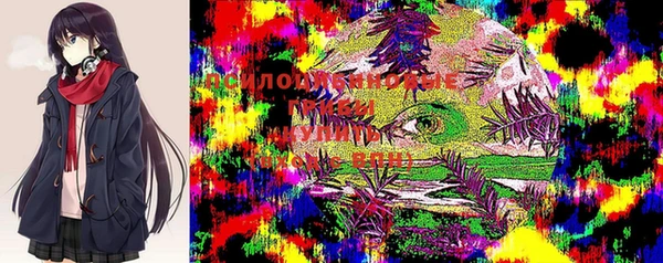 кристаллы Киренск