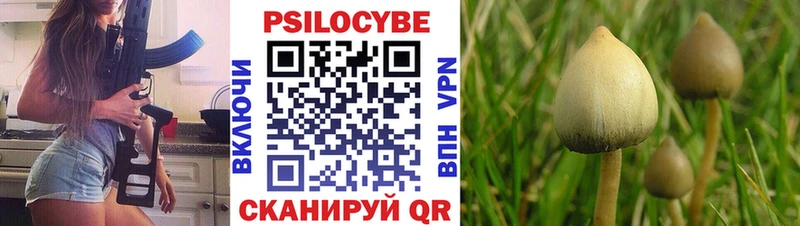 Галлюциногенные грибы MAGIC MUSHROOMS Бердск