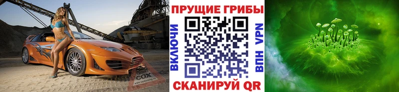 блэк спрут маркетплейс  Бердск  Галлюциногенные грибы MAGIC MUSHROOMS  наркошоп 